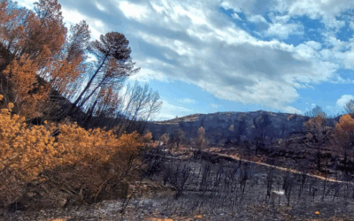 Communiqué – Les Corbières ne doivent pas devenir une zone interdite (aux jeunes)