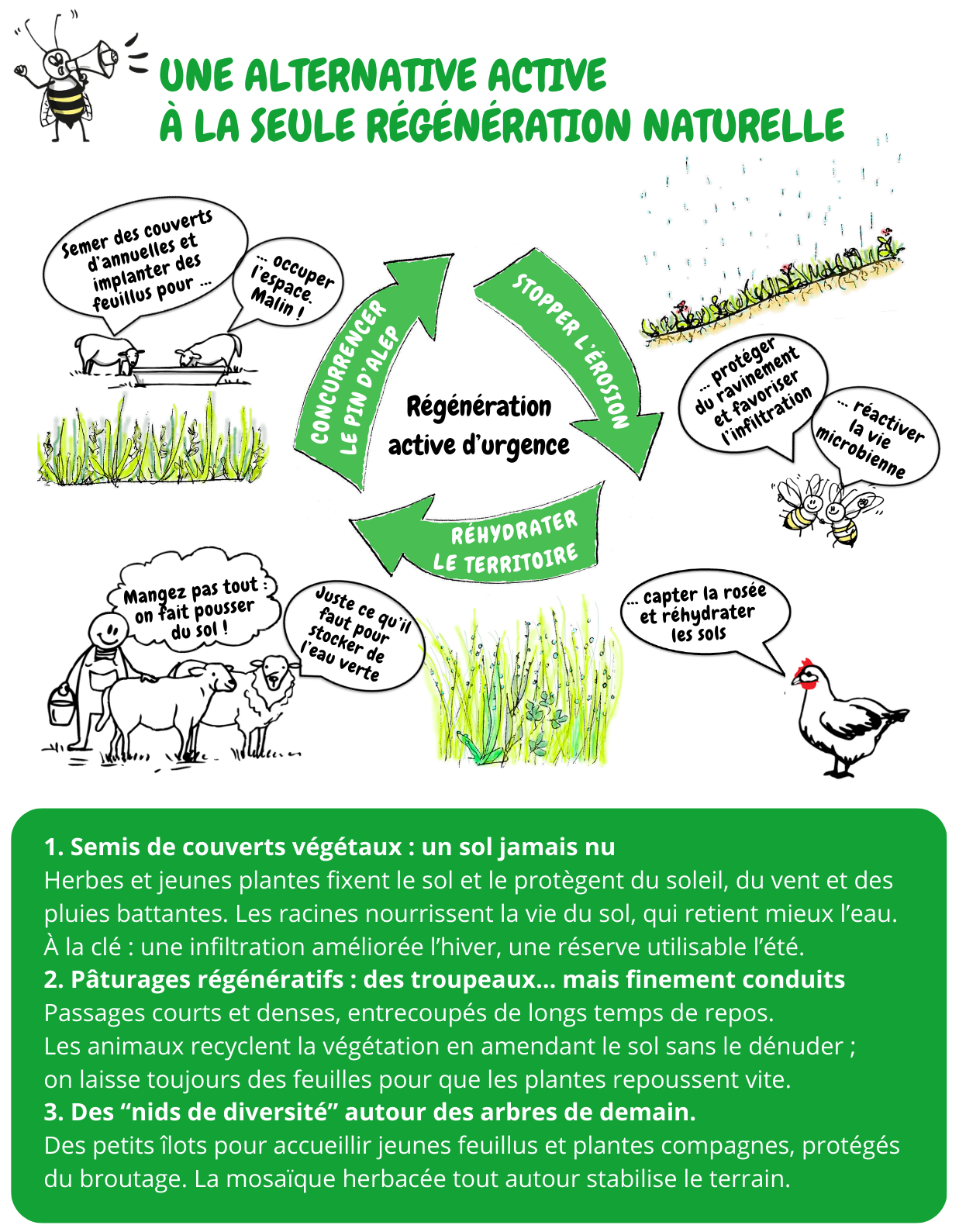 Le cercle vertueux de la régénération active