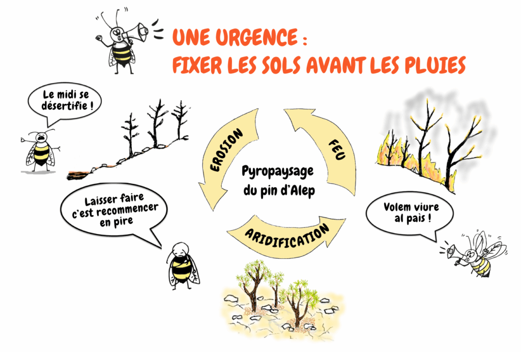 Le cercle vicieux Incendies -> Érosion -> Aridification