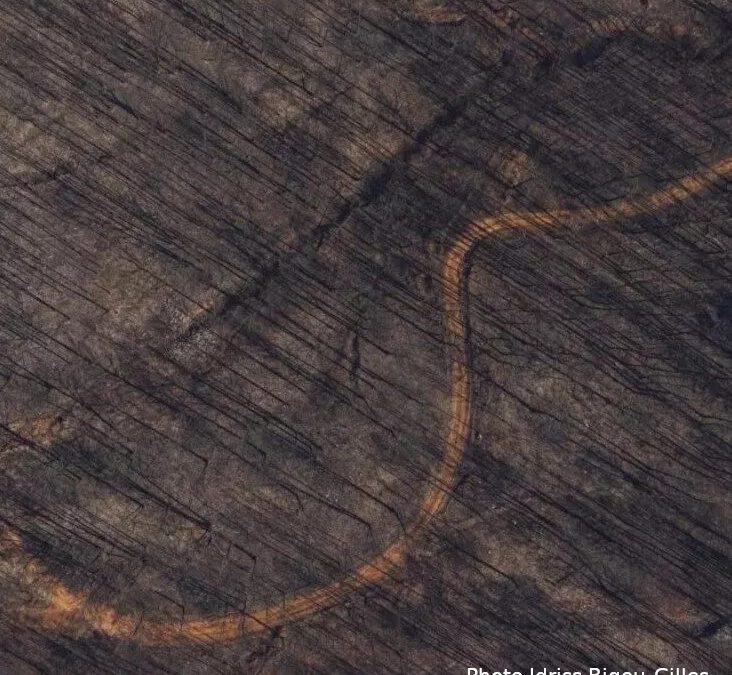 Solidariser les luttes paysannes et les luttes culturelles 